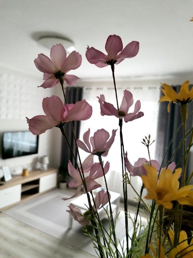 Sweet Central Apartment ,In The City Center เอ็กเกอร์ ภายนอก รูปภาพ